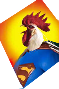 Super Chicken 